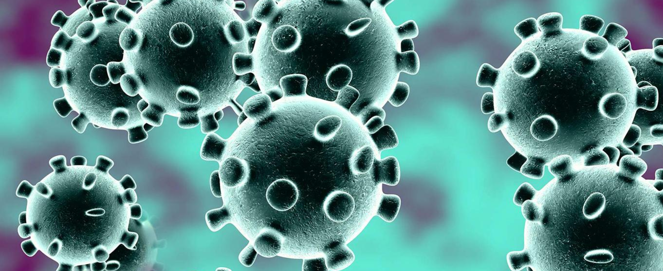 International Conference on Infectious Disease